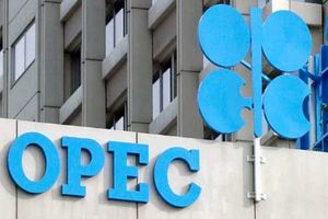 قیمت نفت اوپک افزایش یافت