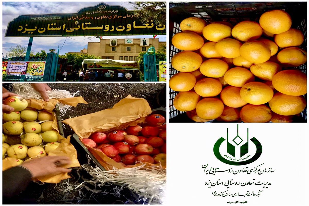 تعاون روستایی یزد