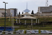 ممنوعیت توقف وسایل نقلیه اطراف بوستان ها و مراکز تفریحی یزد