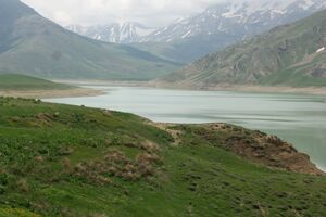 پوشش گیاهی مراتع استان یزد با توجه به بارندگی‌ها تقویت شد