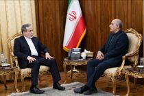 عراقچی بر توسعه روابط ایران و فیلیپین تأکید کرد
