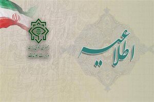 وزارت اطلاعات از شناسایی عوامل سرویس‌های جاسوسی بیگانه گزارش داد