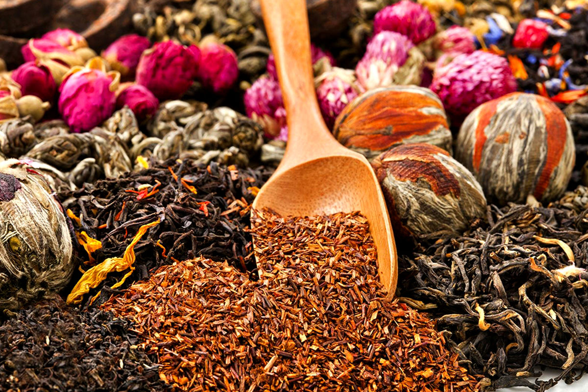  گیاهان دارویی در کاشمر