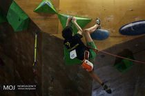  قصد بی احترامی به پرچم ایران نداشتم