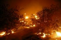 سه مظنون آتش سوزی پاسارگاد دستگیر شدند