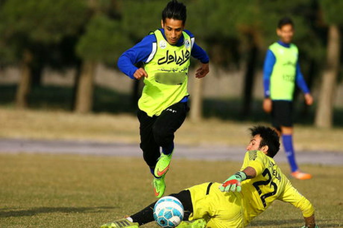 میلاد فخرالدینی