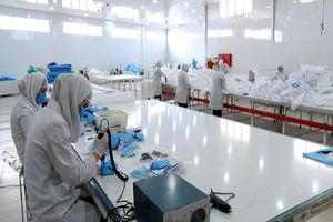 استفاده از ظرفیت شرکت‌های دانش بنیان برای جلوگیری از خام‌فروشی