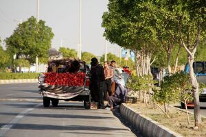 تشکیل پرونده برای وانت بارهای میوه فروش/ ساماندهی وانت‌بارهای میوه‌فروش در همدان
