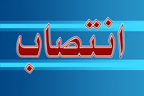 مسعود اسعدی دبیر شورای هماهنگی پاسداشت زبان فارسی شد
