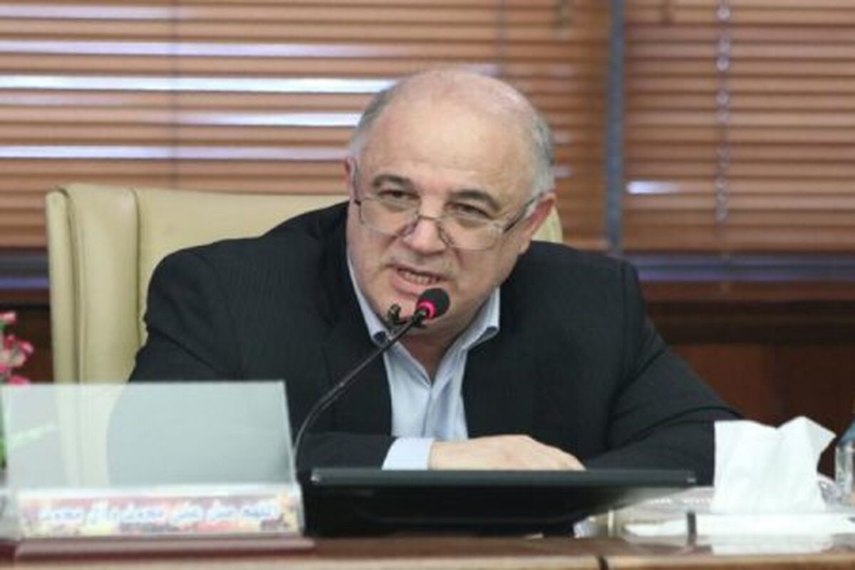 همایون حائری رئیس ستاد مدیرت سوخت نیروگاه ها