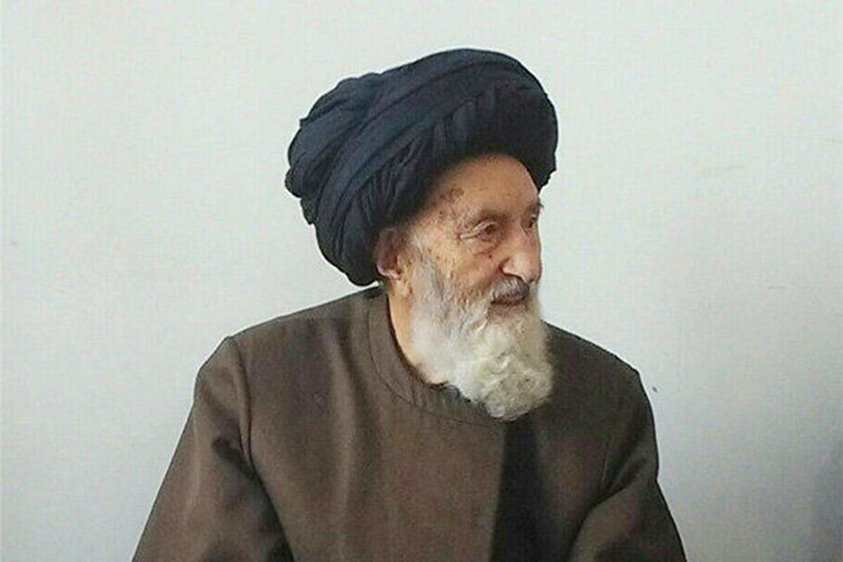آیت الله میرفخرالدین موسوی ننه‌کران 