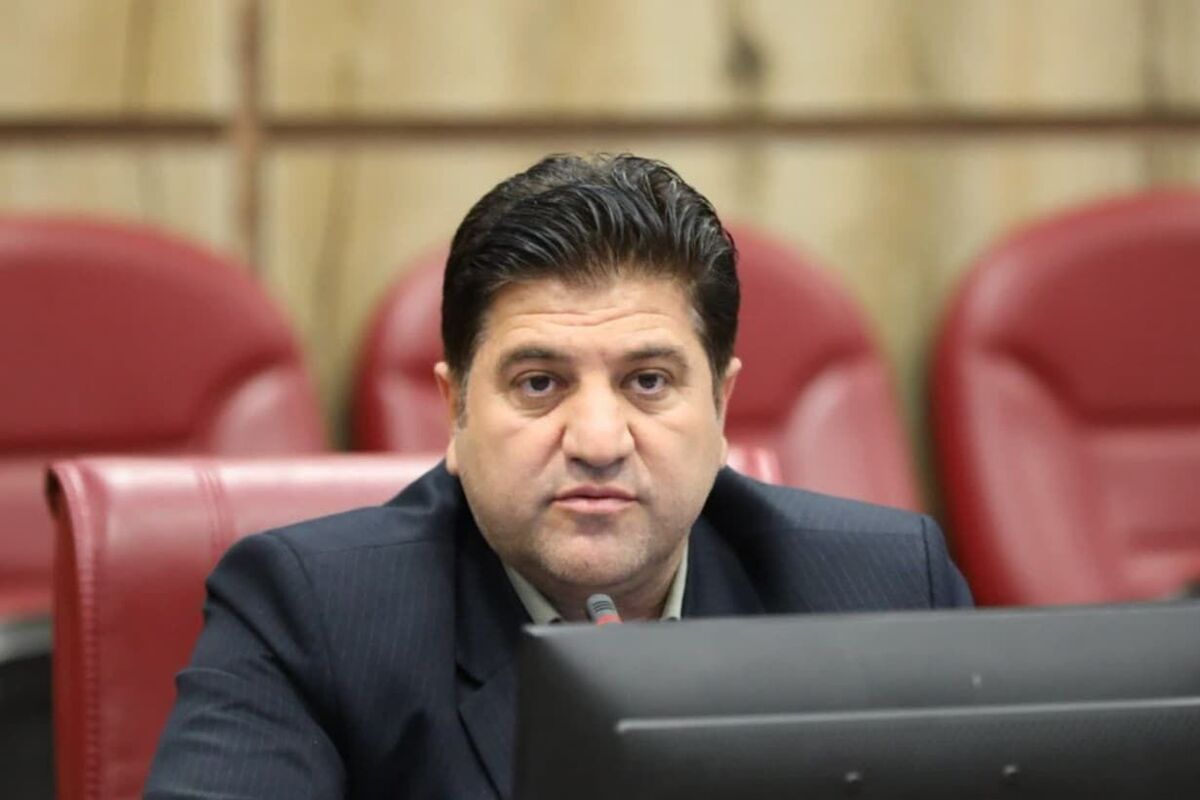 شریفی