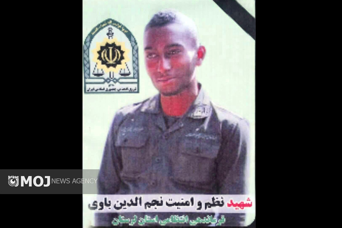 نجم الدین باوی