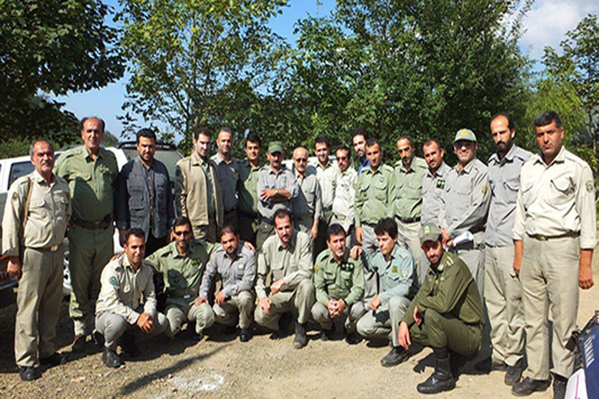 سرشماری