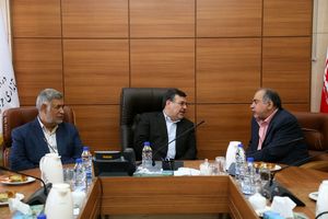 صندوق توسعه ملی پروژه های بزرگ را با پرداخت تسهیلات حمایت کند