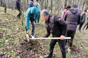  یکصد اصله نهال به نام شهدای بخش کوهستان تنکابن غرس شد