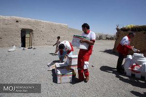 فارس؛ برترین استان کشور در طرح ملی «نذر خدمت» 