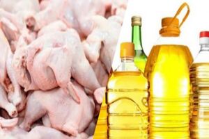 نرخ گوشت مرغ در مشهد متعادل شده است