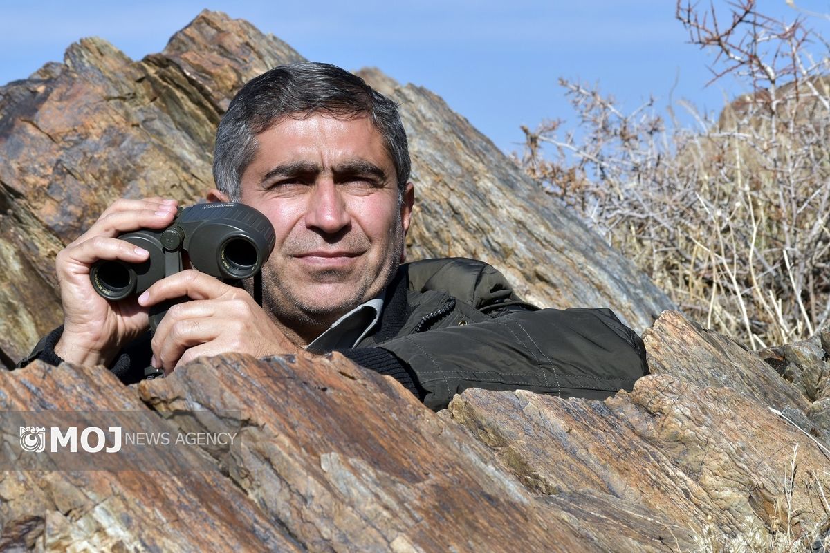 مهرداد فتحی بیرانوند