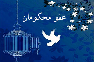 عفو ۳۰ نفر از محکومان در هرمزگان