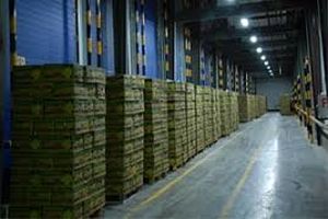 سردخانه 1000تنی در سنندج به بهره برداری رسید