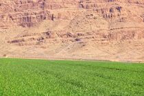 ۱۳.۵ میلیون مترمربع از اراضی فارس طی سه ماهه نخست سال تعیین تکلیف شد