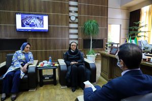 امکان تعامل کشور رومانی با شهر قم در حوزه محیط زیست و باستان‌شناسی