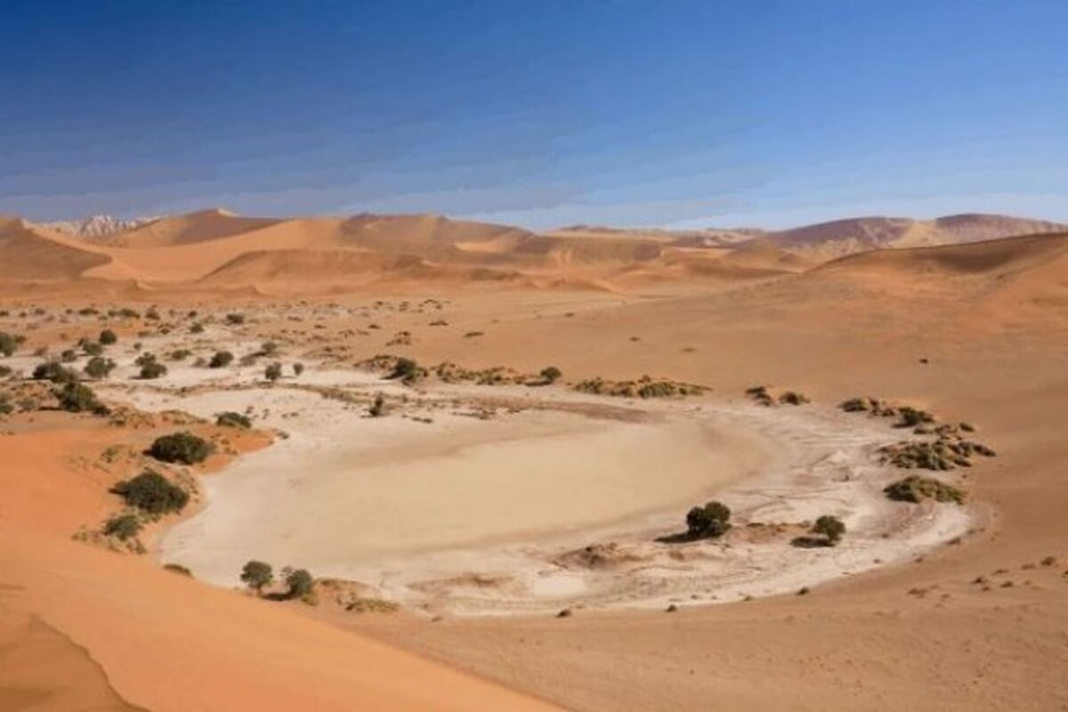  طرح نهضت سبز