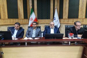 نقش بانوان در اجرای سند اقتصاد مقاومتی کرمانشاه کم‌رنگ است