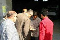 خرید بیش از ۱۰ هزار تن گندم در میاندورود