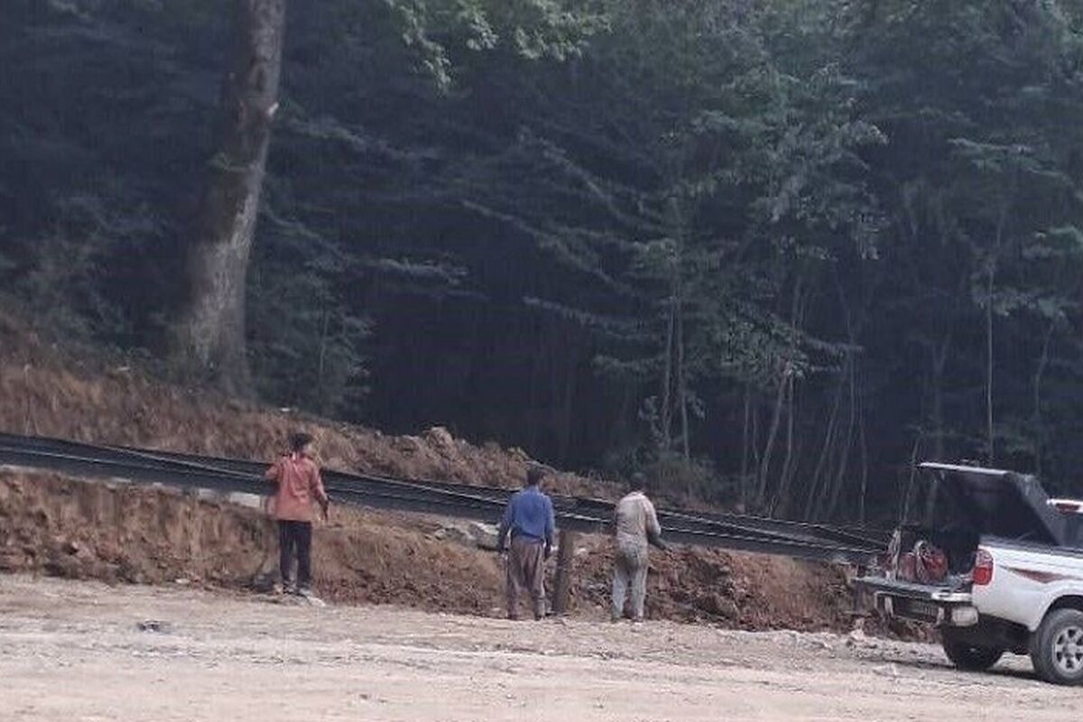 جنگل الیمالات 
