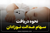 اینفوگرافیک/نحوه دریافت سهام عدالت نوزادان