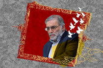 مزین شدن بلوار ورودی شهر قم به نام «شهید فخری زاده»