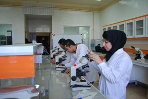 امکان حذف واحدها یا ترم تحصیلی بدون درج سنوات/ برگزاری آزمون‌‌های لغوشده ملی کشوری از تیرماه