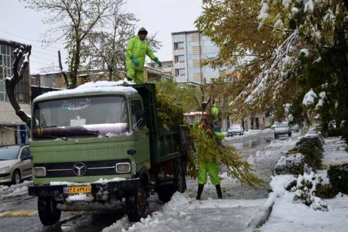برفروبی شهرداری