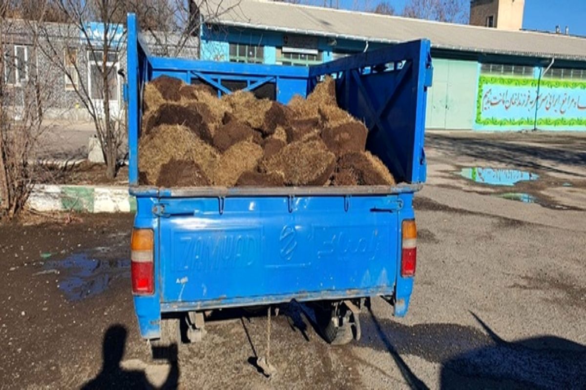 توقیف خاک پیت