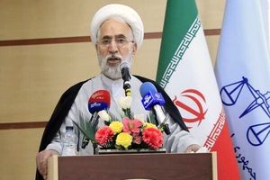 دادستان کل کشور بر نظارت اعضای شوراها بر حفظ محیط زیست، اراضی و باغات تاکید کرد