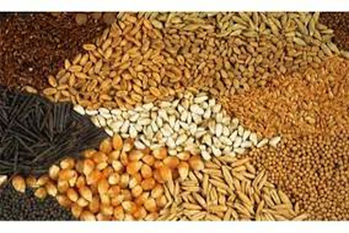 نهاده های دامی