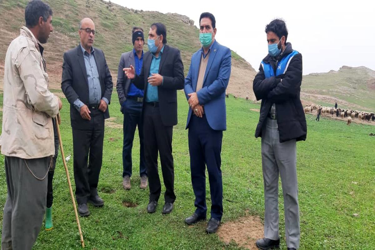 عشایر سیروان