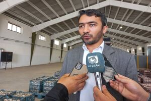 ۱۲ منطقه کشور به شبکه مراکز پرتودهی محصولات کشاورزی می‌پیوندند