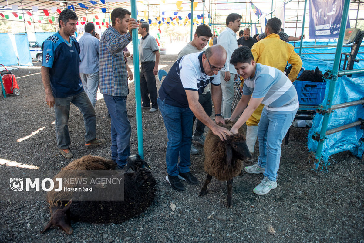 دامپزشکی هرمزگان