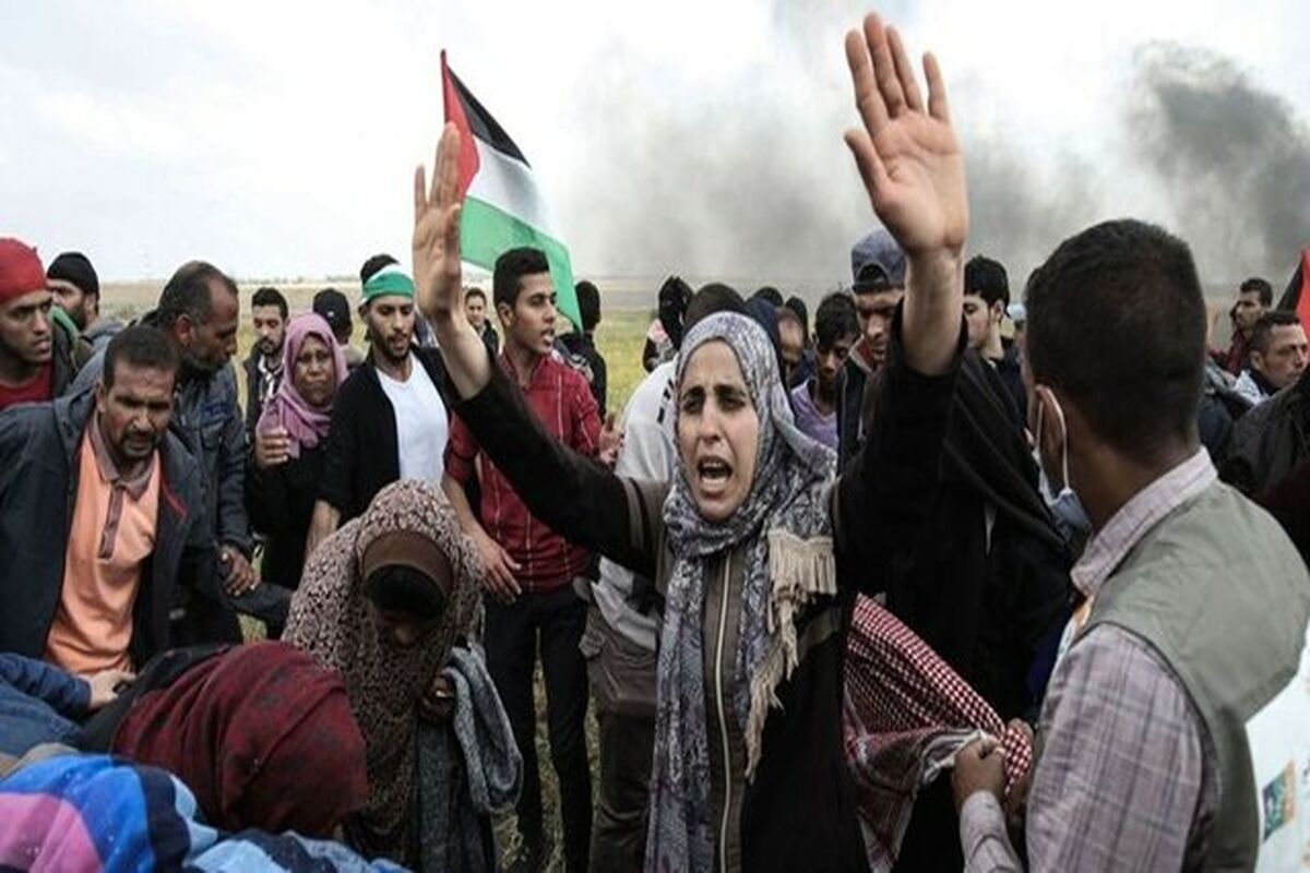 بازداشت ۱۳ فلسطینی