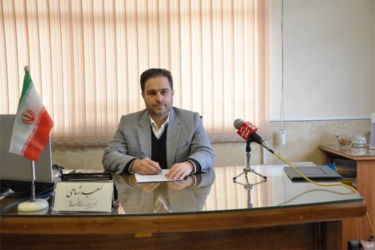 سعید شاهی