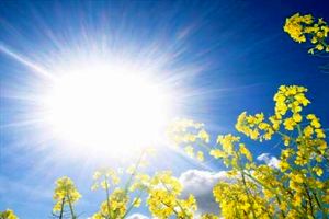 هوای اصفهان در وضعیت سالم قراردارد