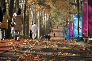 پیاده روی اندک هم طول عمر را افزایش می دهد