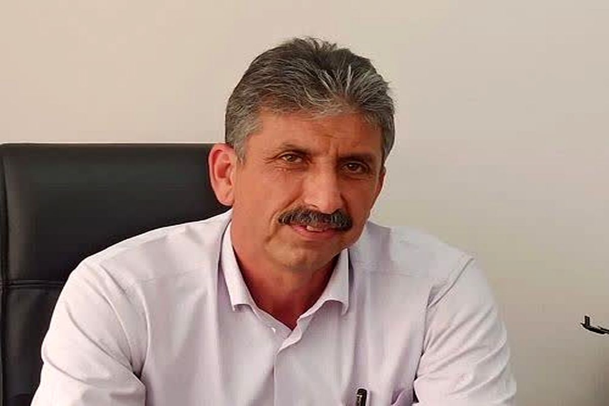 بیگی.
