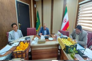 ۲۷ اسفندماه آغاز توزیع میوه شب عید در سیستان‌وبلوچستان تعیین شد 