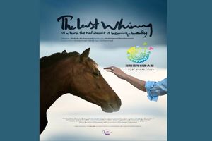 فیلم کوتاه" آخرین شیهه اسبی" به جشنواره شنژن چین راه یافت