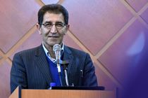 250 میلیارد تومان طرح جهت دریافت تسهیلات رونق تولید به بانک‌های لرستان معرفی شده است 