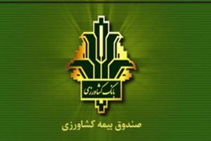 مصوبه دولت درباره پرداخت بدهی صندوق بیمه محصولات کشاورزی به بانک کشاورزی ابلاغ شد